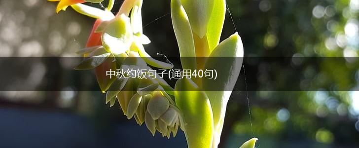 中秋约饭句子(通用40句),第1张