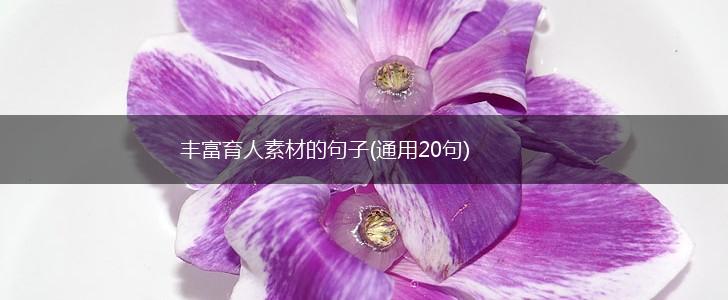 丰富育人素材的句子(通用20句),第1张