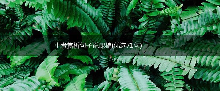 中考赏析句子说课稿(优选71句),第1张