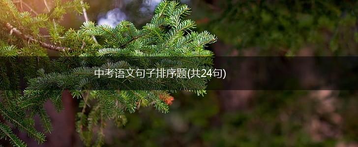 中考语文句子排序题(共24句),第1张