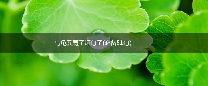 乌龟又赢了短句子(必备51句),第1张