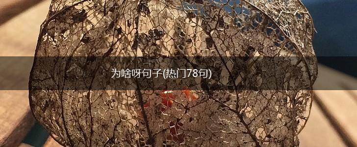 为啥呀句子(热门78句),第1张