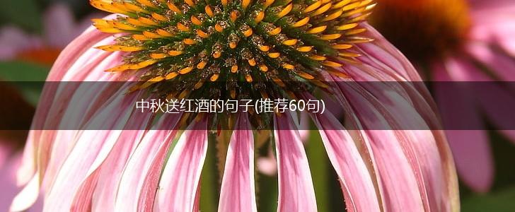 中秋送红酒的句子(推荐60句),第1张