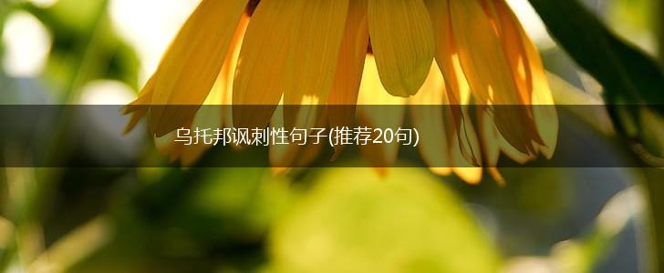 乌托邦讽刺性句子(推荐20句),第1张