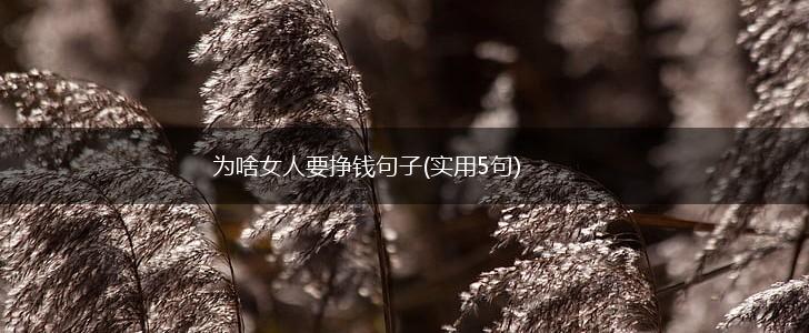 为啥女人要挣钱句子(实用5句),第1张
