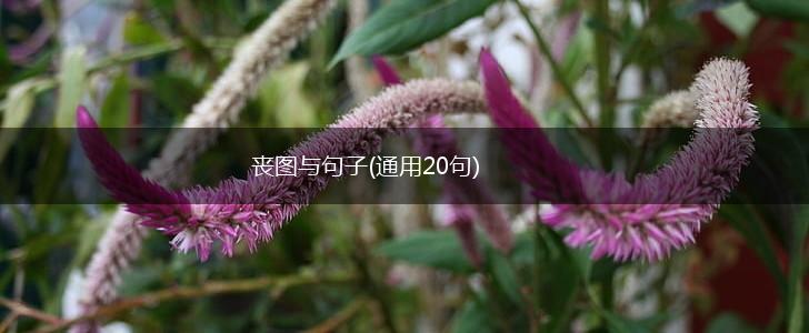 丧图与句子(通用20句),第1张