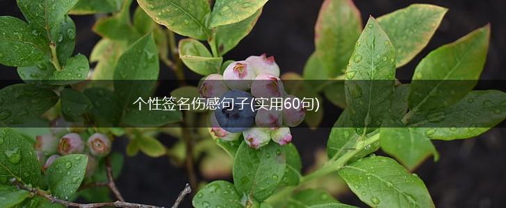 个性签名伤感句子(实用60句),第1张