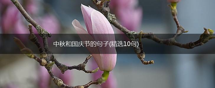 中秋和国庆节的句子(精选10句),第1张