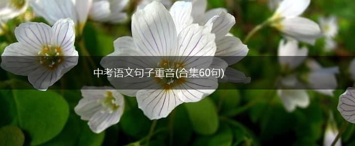 中考语文句子重音(合集60句),第1张