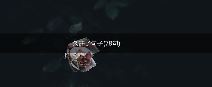 久违了句子(78句),第1张