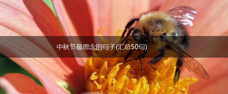 中秋节最思念的句子(汇总50句),第1张