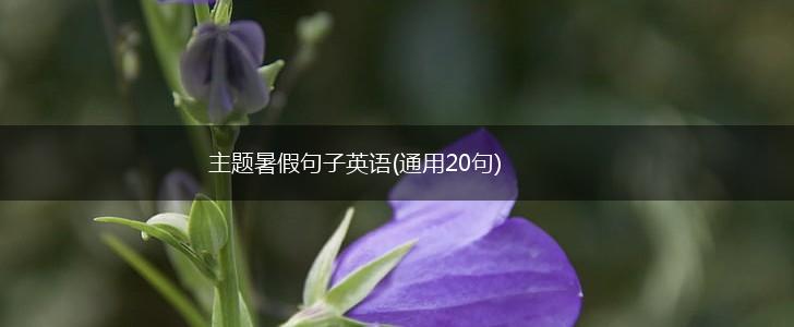 主题暑假句子英语(通用20句),第1张