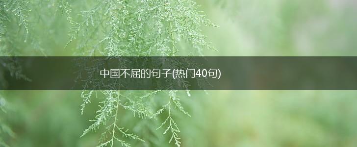 中国不屈的句子(热门40句),第1张