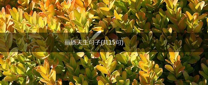 丽质天生句子(共15句),第1张