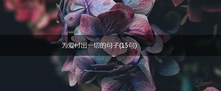 为爱付出一切的句子(15句),第1张