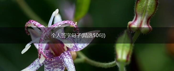 个人签字句子(精选50句),第1张