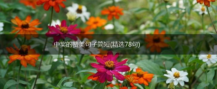 中奖的赞美句子简短(精选78句),第1张
