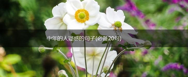 中年的人疑惑的句子(必备20句),第1张