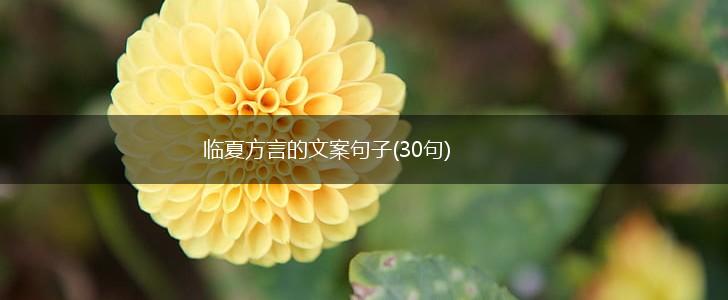 临夏方言的文案句子(30句),第1张