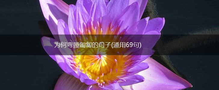 为何弯腰匍匐的句子(通用69句),第1张