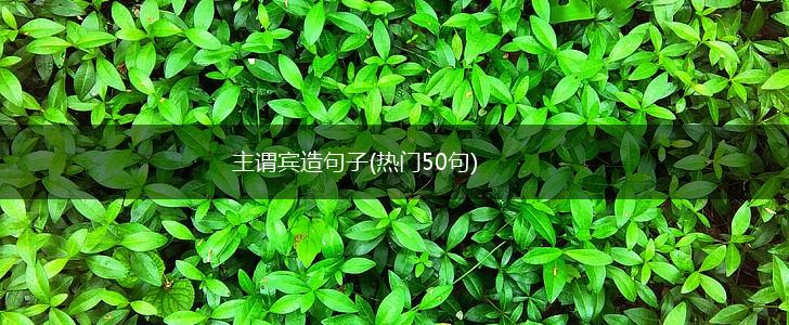 主谓宾造句子(热门50句),第1张