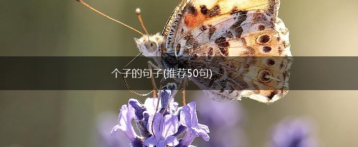 个子的句子(推荐50句),第1张