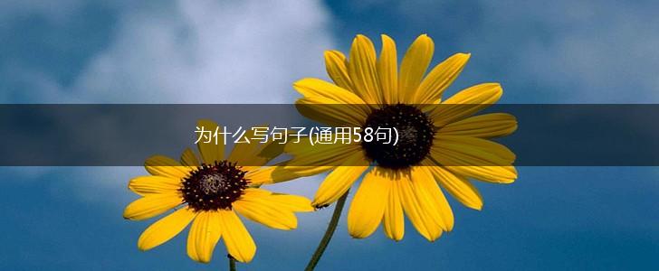 为什么写句子(通用58句),第1张