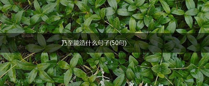 乃至能造什么句子(50句),第1张