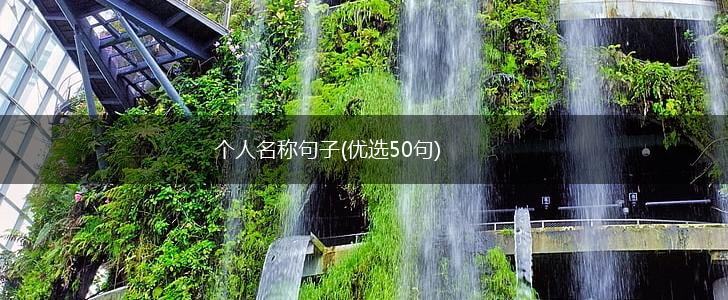 个人名称句子(优选50句),第1张