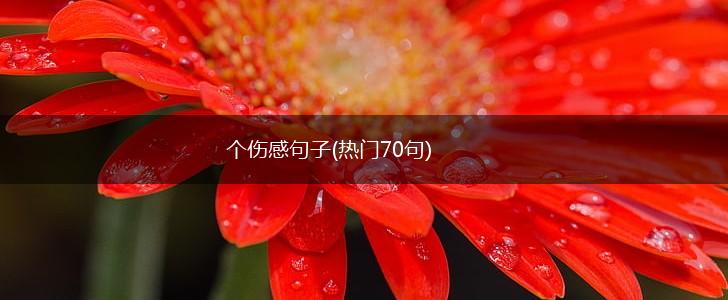 个伤感句子(热门70句),第1张
