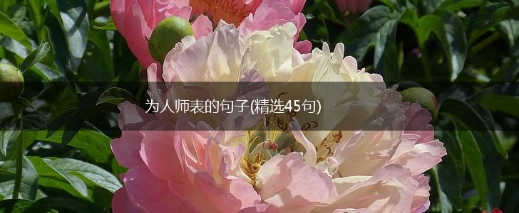 为人师表的句子(精选45句),第1张