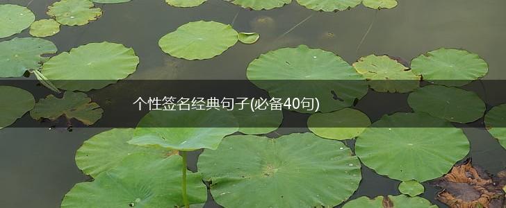 个性签名经典句子(必备40句),第1张