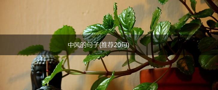 中风的句子(推荐20句),第1张