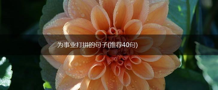 为事业打拼的句子(推荐40句),第1张