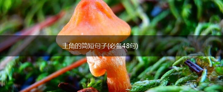 主角的简短句子(必备48句),第1张