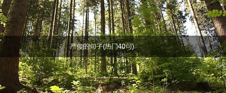 严俊的句子(热门40句),第1张