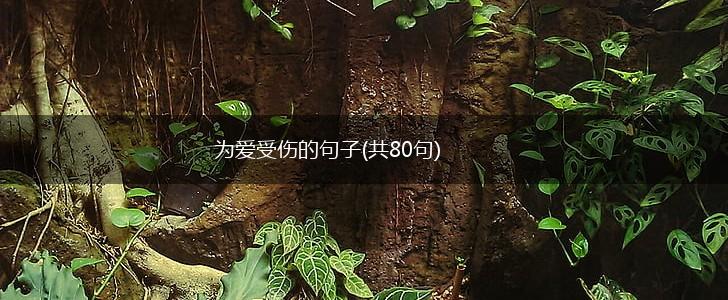 为爱受伤的句子(共80句),第1张
