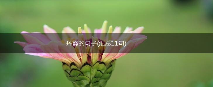丹霞的句子(汇总11句),第1张