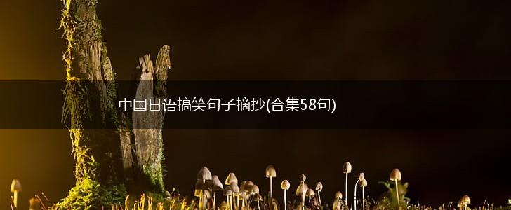 中国日语搞笑句子摘抄(合集58句),第1张