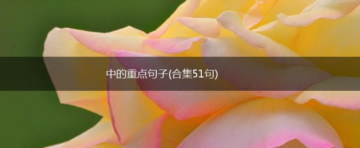 中的重点句子(合集51句),第1张