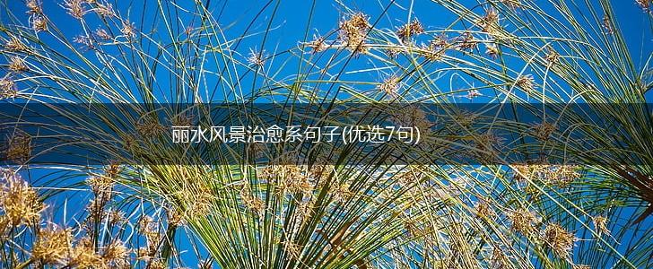 丽水风景治愈系句子(优选7句),第1张