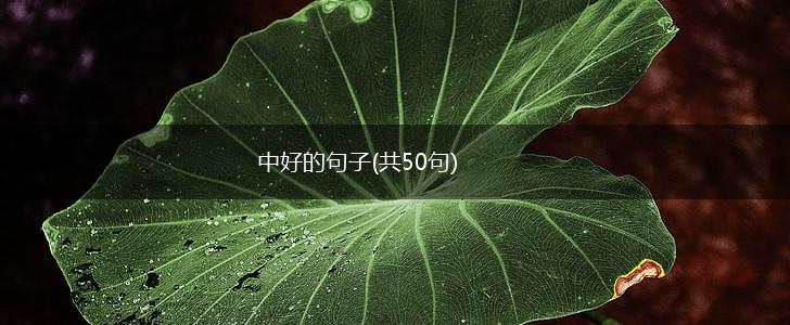 中好的句子(共50句),第1张