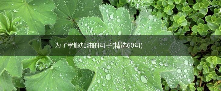 为了孝顺加油的句子(精选60句),第1张