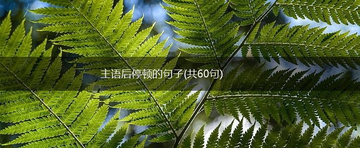 主语后停顿的句子(共60句),第1张