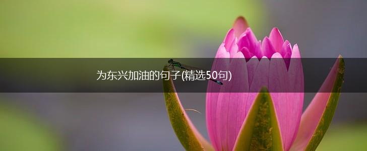 为东兴加油的句子(精选50句),第1张