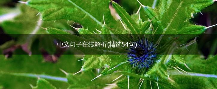 中文句子在线解析(精选54句),第1张