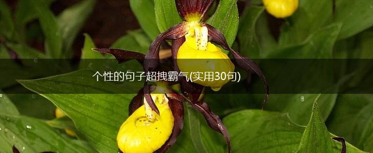 个性的句子超拽霸气(实用30句),第1张