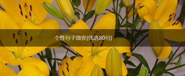个性句子微丧(优选80句),第1张