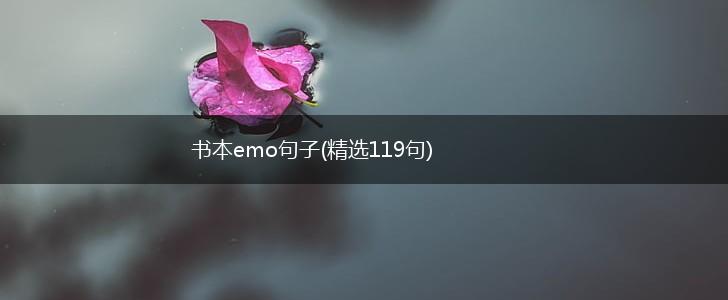 书本emo句子(精选119句),第1张