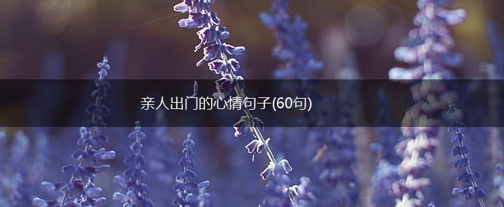 亲人出门的心情句子(60句),第1张